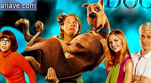 Scooby Doo Gang