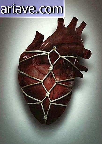 Kalp bağları