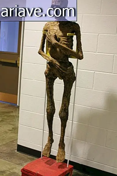 Une artiste crée une momie à base de snacks McDonald's
