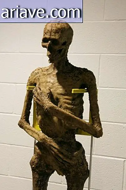 Nghệ sĩ tạo ra xác ướp được làm bằng đồ ăn nhẹ của McDonald