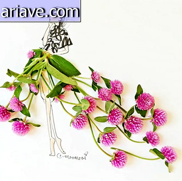 Umelec používa na vytvorenie úžasných ilustrácií kvety a zeleninu