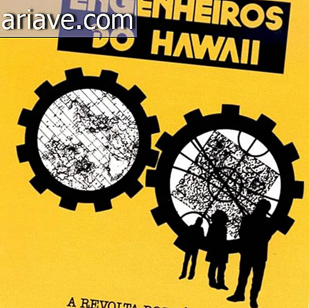 Hawaii Ingenieure