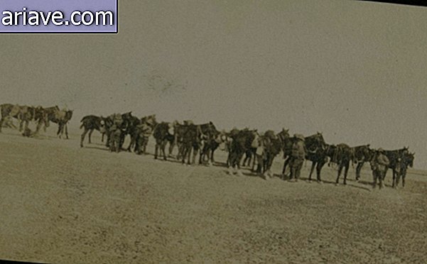 रेगिस्तान में सैन्य