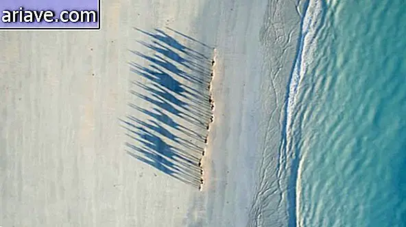 Wielbłądy ustawiają się w rzędzie i rzucają cienie na piaski Cable Beach w Australii