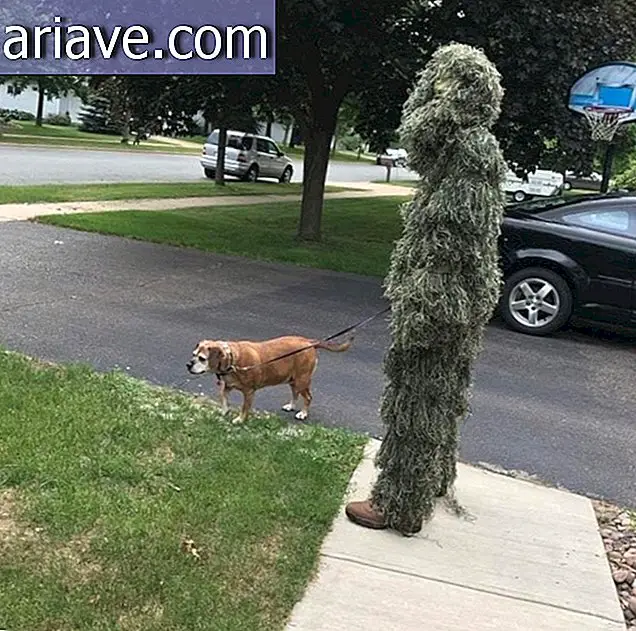 Maskovaný muž so psom