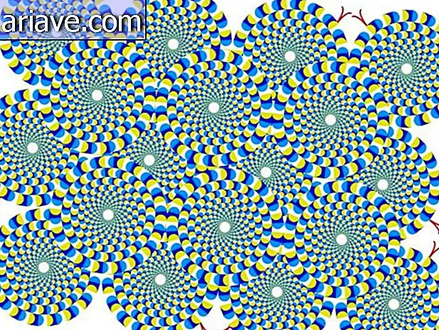 Optická ilúzia: Pochopte, ako fungujú rotujúce kruhy