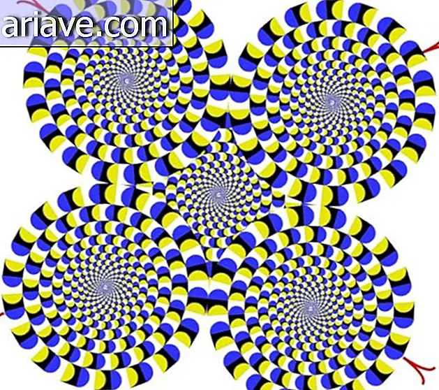 Optikai illúzió: Tudja meg, hogyan működnek a forgó körök