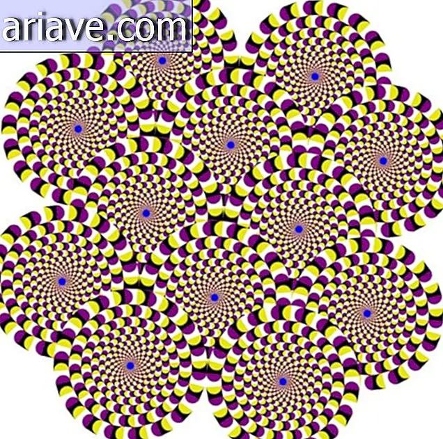 Ilusión óptica: comprende cómo funcionan los círculos giratorios