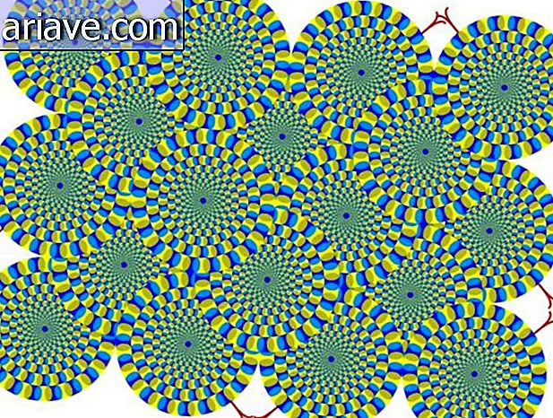 Optische illusie: begrijp hoe draaiende cirkels werken
