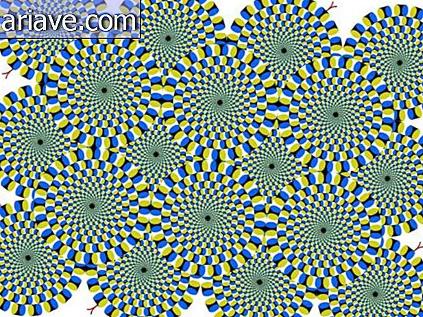 Optical illusion: Understand how spinning circles work