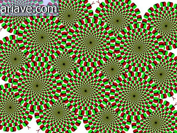 Optikai illúzió: Tudja meg, hogyan működnek a forgó körök