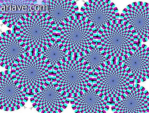 Optical illusion: Understand how spinning circles work
