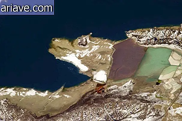 Sól ze stawów wyparnych w Great Salt Lake w Utah przyciąga kolorowe wodorosty, tworząc postać podobną do wilka