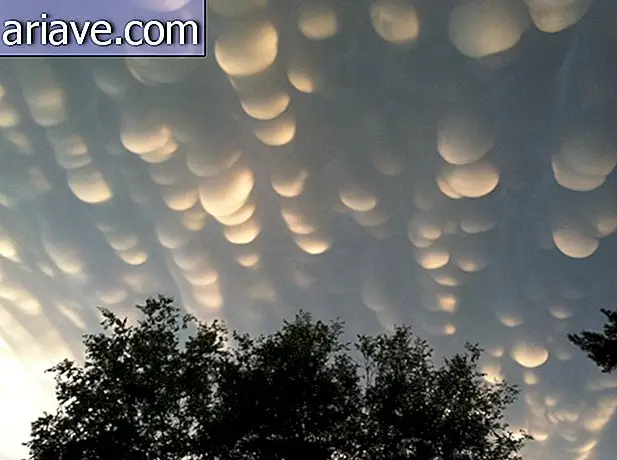 11 formes de nuages ​​très fous qui habitent les cieux