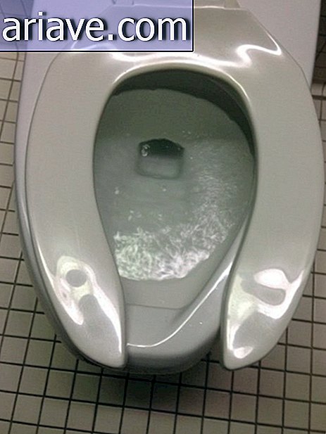 Ødelagt toiletstol