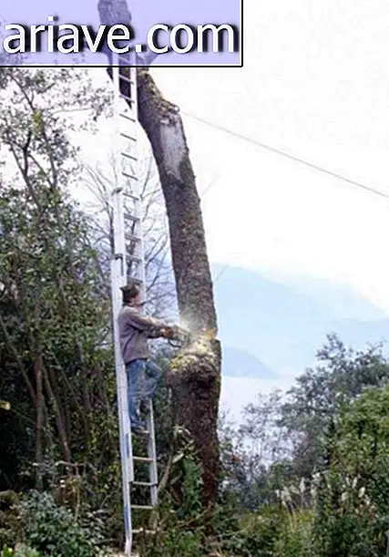 Człowiek do cięcia drzewa
