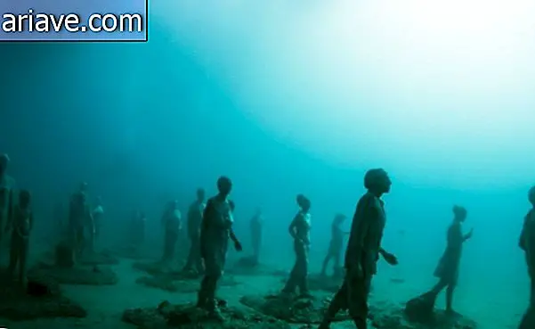 Bảo tàng ngập nước Đại Tây Dương sẽ phục vụ như phòng trưng bày và rạn san hô nhân tạo