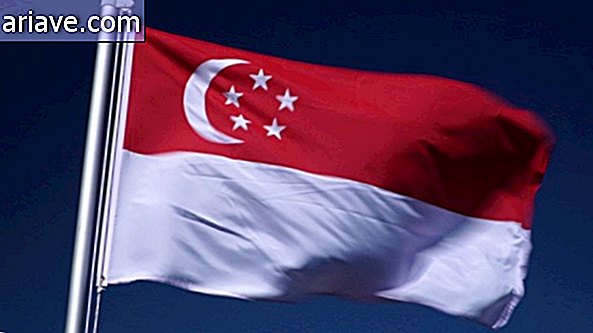 Bandiera di singapore