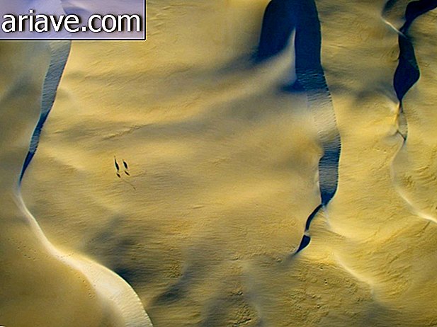 Emus în dune