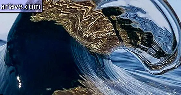 morská vlna
