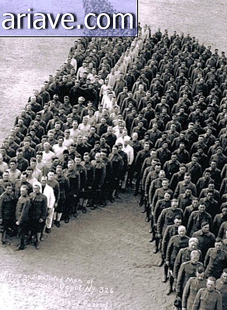 horse tribute