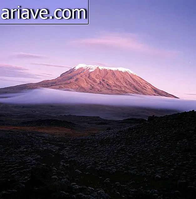 Zet Kilimanjaro op