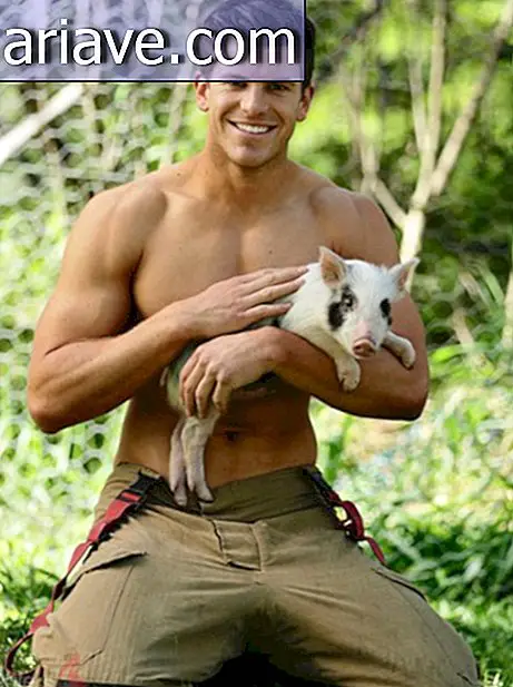 Dieser Kalender der Feuerwehrmänner mit Haustieren ist gleichzeitig sexy und niedlich.