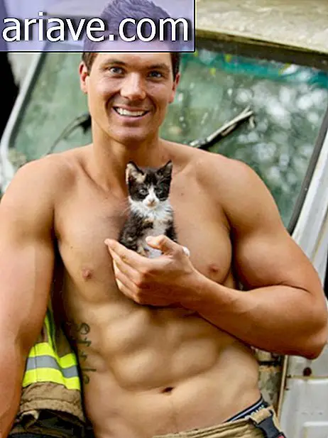 Este calendario de bomberos con mascotas es sexy y lindo al mismo tiempo.