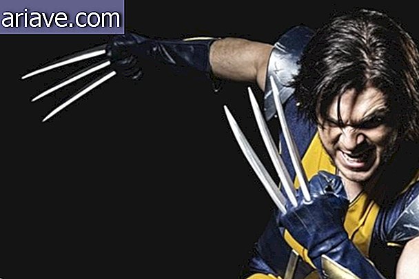 Wolverine door Jay's Lenzen