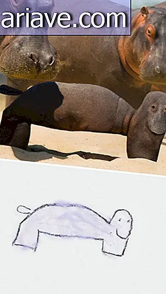 Cachorro de hipopótamo