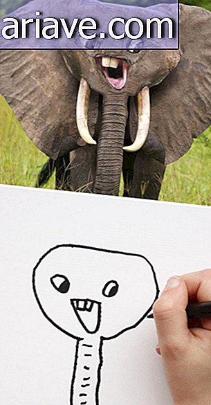 Elefante felice