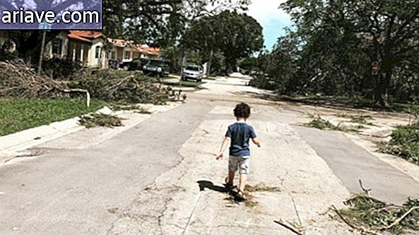 ถนนหลังจากพายุเฮอริเคน Irma