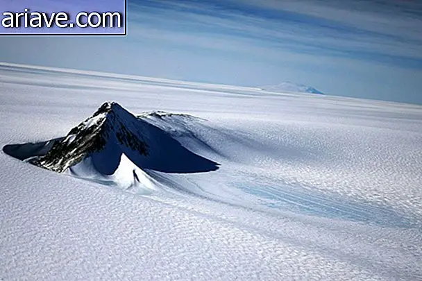 Antarctique de l'Ouest