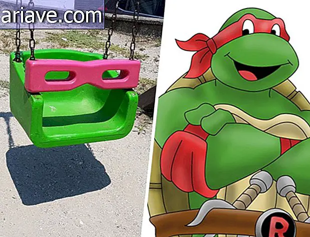 Raphael the Ninja Turtle