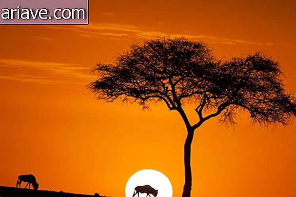 Masai Mara Oyun Koruma Alanı