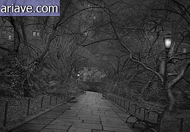 Uneton valokuvaaja osoittaa, että Central Park on pahaenteinen ja kaunis yöllä