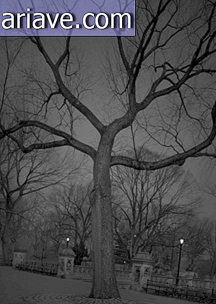 Der schlaflose Fotograf zeigt, dass der Central Park nachts bedrohlich und schön ist