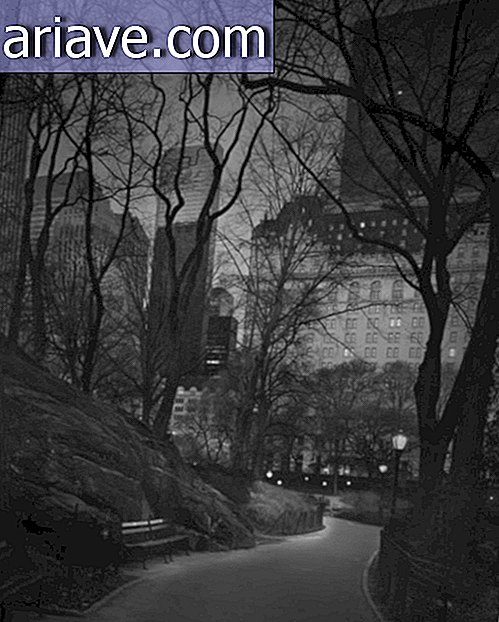 Bezesný fotograf ukazuje, že Central Park je v noci zlovestný a krásny