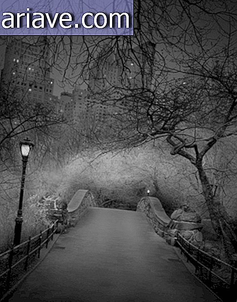 Der schlaflose Fotograf zeigt, dass der Central Park nachts bedrohlich und schön ist