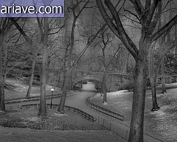 Bezesný fotograf ukazuje, že Central Park je v noci zlovestný a krásny