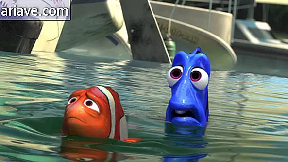 auf der Suche nach Nemo