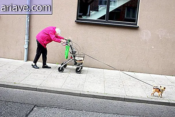 Senior mujer paseando perro