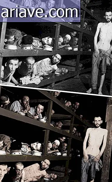 Zdjęcie z Holokaustu