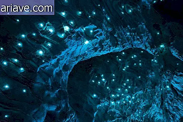 Ужарени црви претварају таван пећине у ванземаљски пејзаж