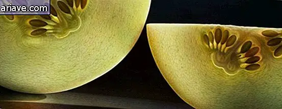 Plátky melónov