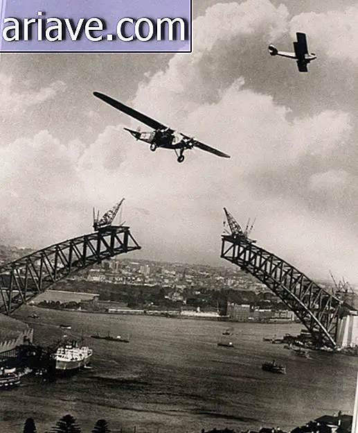 Jembatan Teluk Sydney