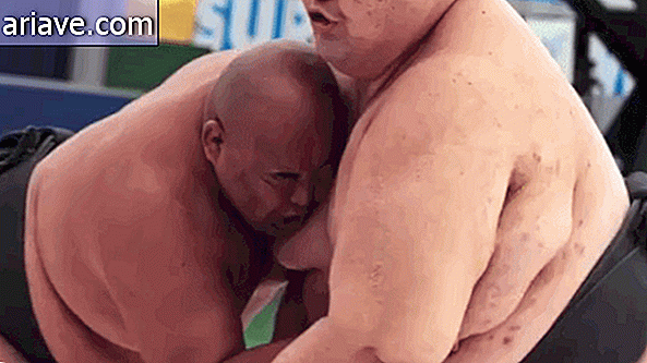 luptători de sumo