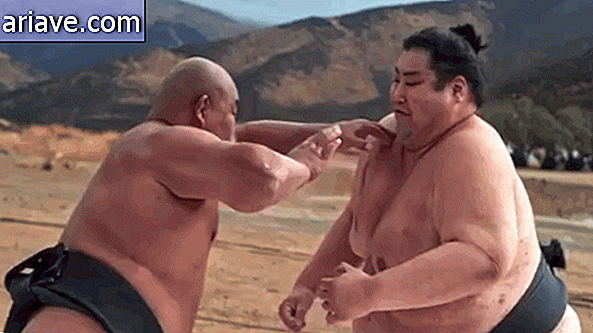 Luptători de sumo
