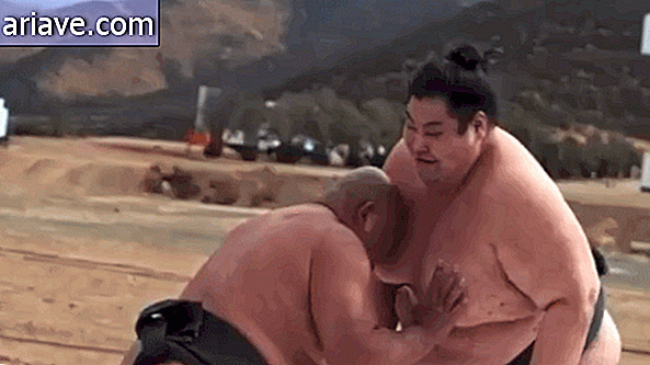 Luptători de sumo