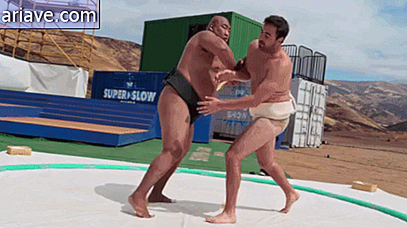 Luchadores de sumo
